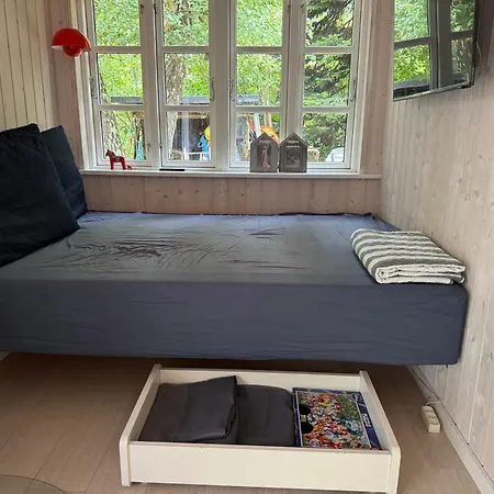 Forest Retreat Near And *